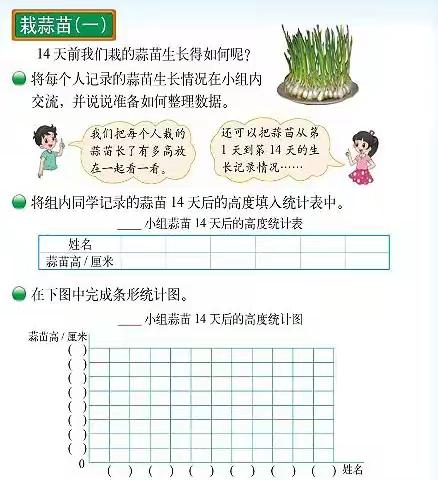 ✨神机妙“蒜”——四年级数学项目化汇报✨