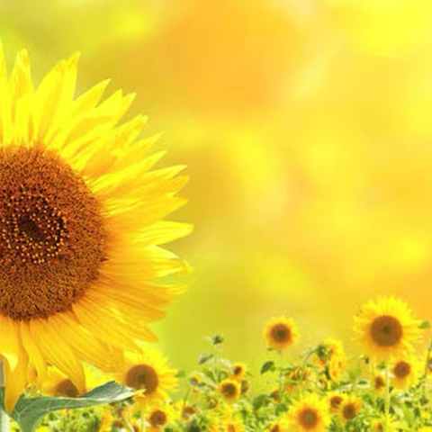 下一站，奔赴新的山海 ‍周一剑桥班