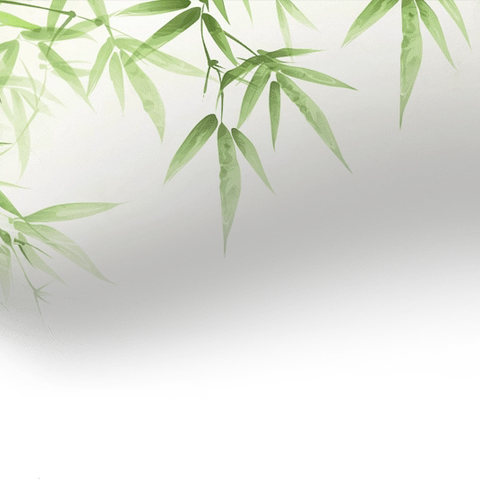 “研”途有光，行思并进———2024年暑期道县义务教育阶段学校小学数学培训第二天