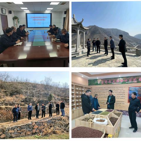 河北省农林科学院谷子研究所所长董立一行来涉开展谷子产业调研和技术培训