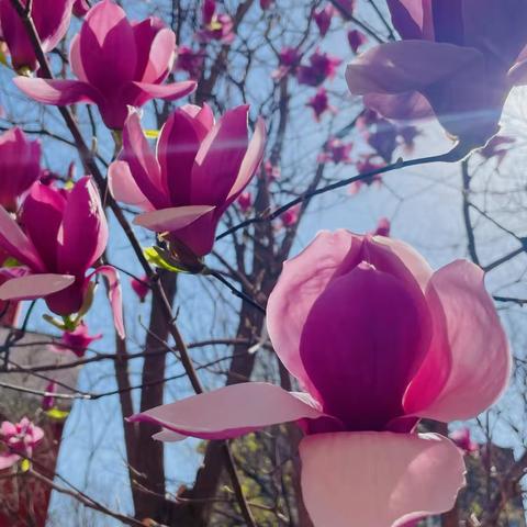 至诚班第八周周末家话 ‍（2025.4.3）