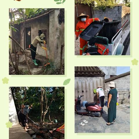 黎丰村党总支部周末开展卫生大扫除活动