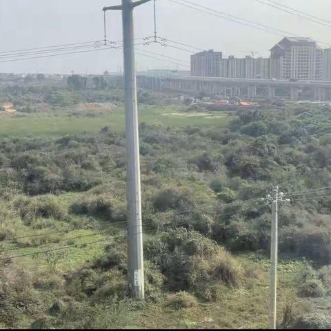 自然资源执法大队 严厉打击非法洗砂堆砂行为