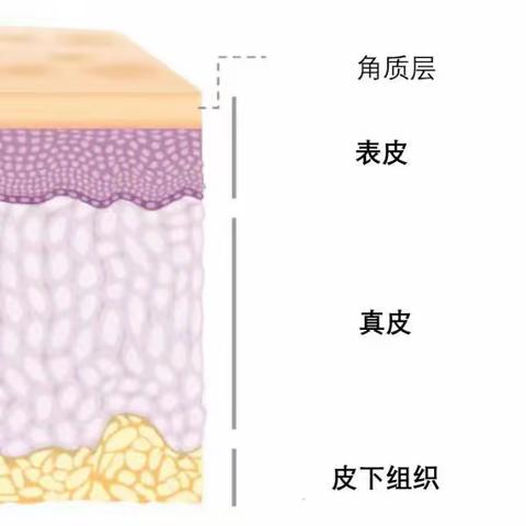 与“它”相遇的3年时间