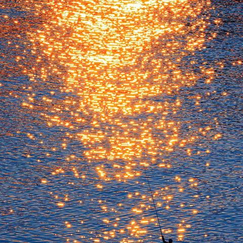 紧跟时代步伐：以好奇心为舵，运用生存法则打造精彩人生