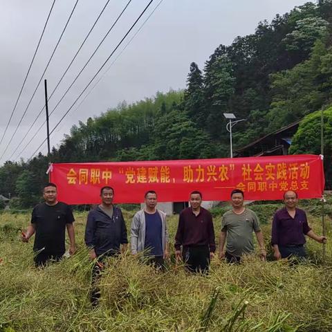 党旗映田畴，助农暖人心 | 会同职中“党建赋能，助力兴农”实践活动纪实。
