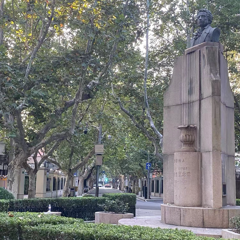 乌桕树影弹硌路 梧桐叶语旧时光 ------桃江路的百年故事