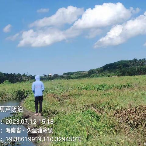 2023年定安县农业外来入侵物种普查防控和农业野生植物保护工作暨水葫芦防控项目