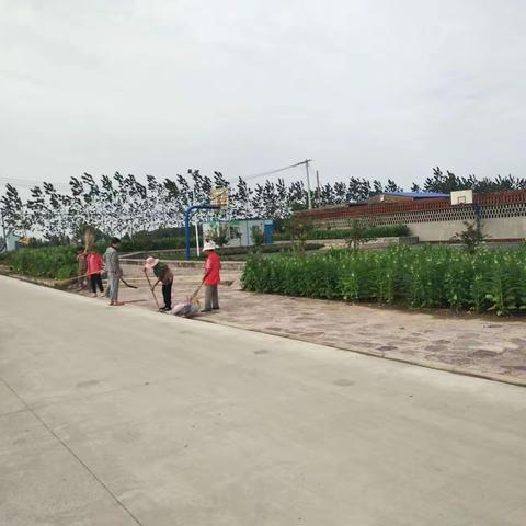 五里源乡马坊村：“义务清洁日”活动