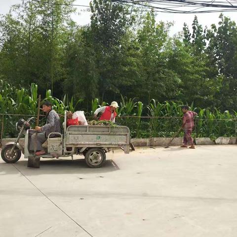清洁家园齐动手  志愿服务促文明——马坊村义务清洁在行动