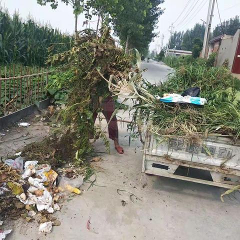 村庄清洁在行动 美丽乡村绽新颜——马坊村义务清洁日