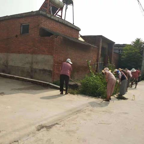 创建文明乡村，清洁美化家园——马坊村义务清洁日