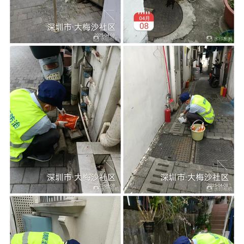 梅沙街道病媒生物消杀