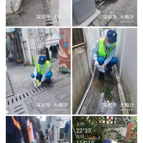 梅沙街道病媒生物消杀