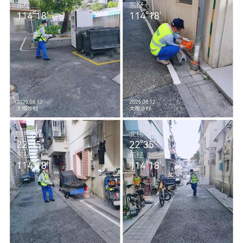梅沙街道病媒生物消杀