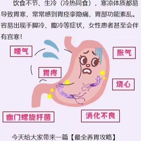 教你如何养胃