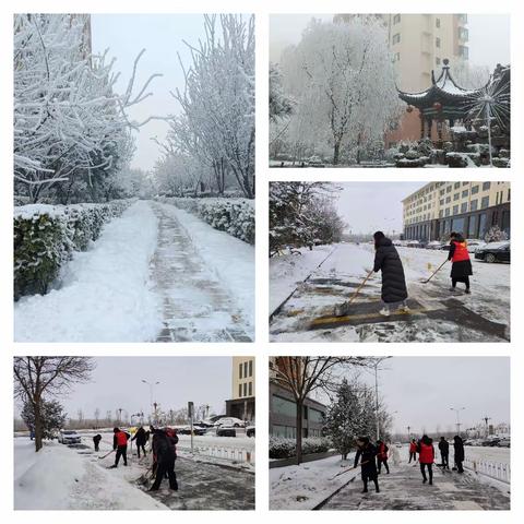 瑞雪 吉年         安全出行