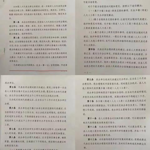 提升理论水平，展现代表风采