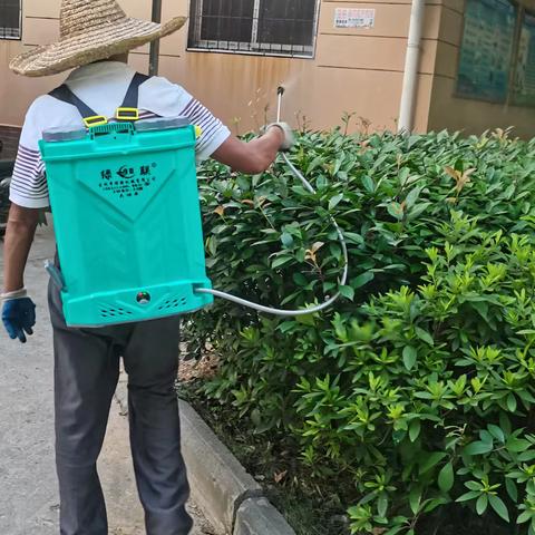 潮江社区开展全市集中统一消杀工作活动简报