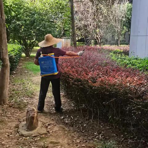潮江社区开展全市集中统一消杀工作活动简报