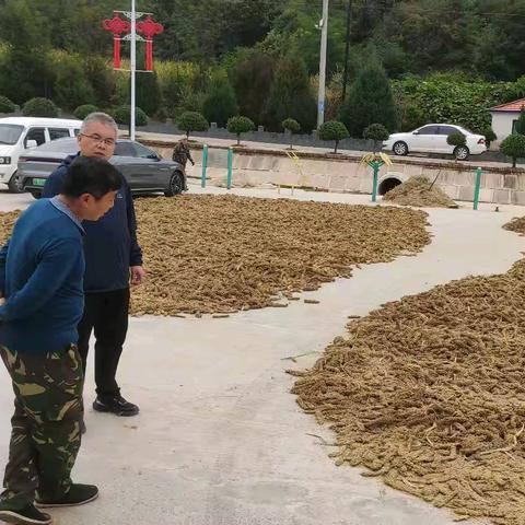 沁州黄镇：筑牢安全基石 护航平安双节