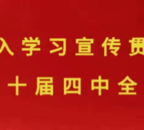清雪保畅有“速度” 心系群众有“温度”