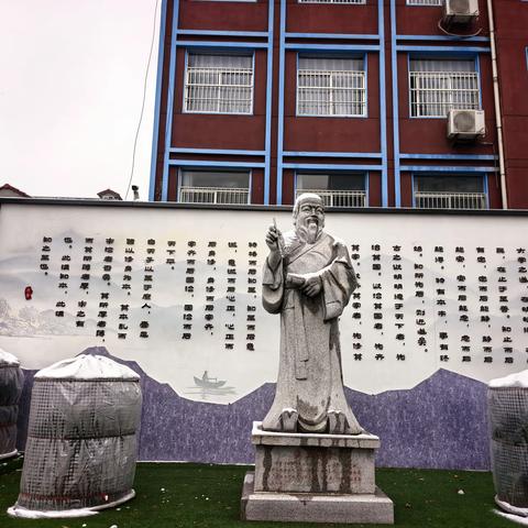 琼英覆儒苑，青春踏雪吟