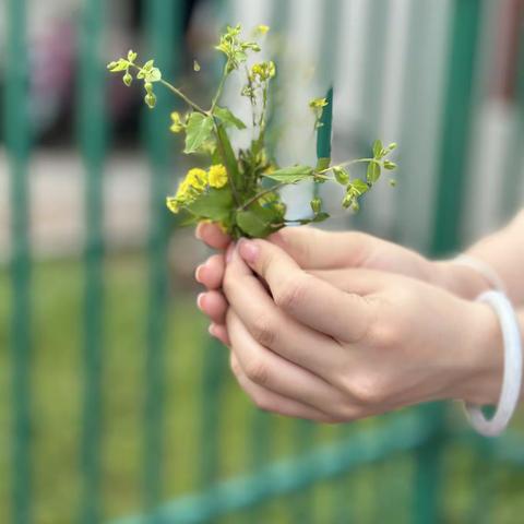 🌸春有约 花不误🌸———豆苗班第八周美篇