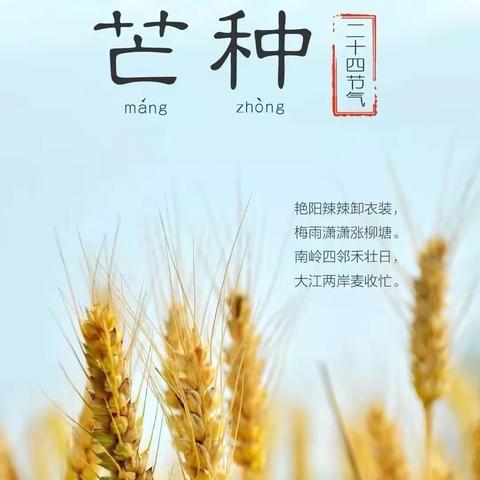 “芒种芒种🌾🌾幸福播种 ” 托克托县民族幼儿园 感党恩 听党话 跟党走———二十四节气系列活动