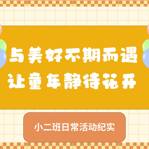 与美好不期而遇 让童年静待花开——小二班日常活动纪实