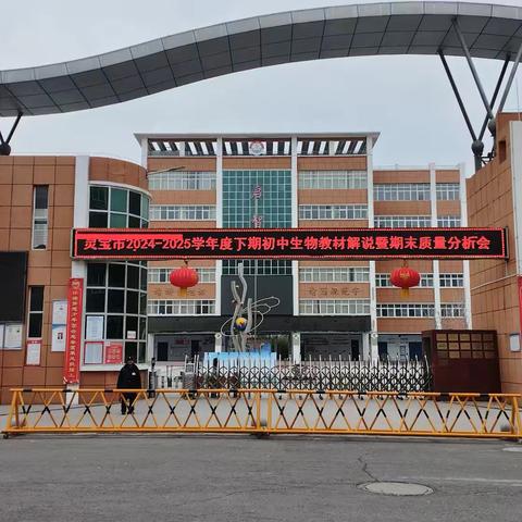 聚焦新教材，赋能新课堂