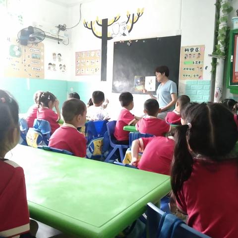 阳光幼儿园中二班第二十六周教学回顾