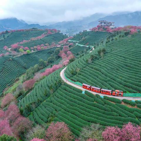 福建龙岩春游之旅