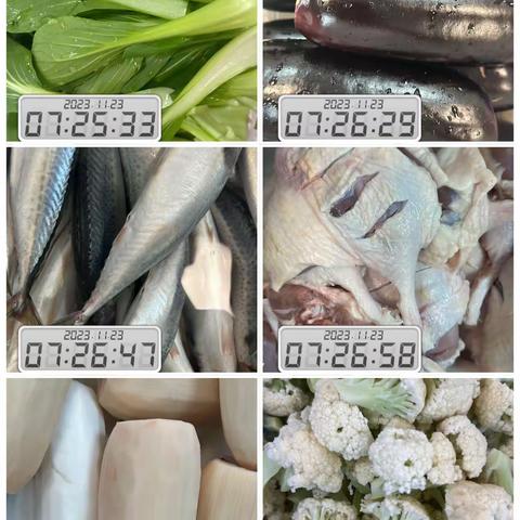 11.23宁波绿动体系安全日报