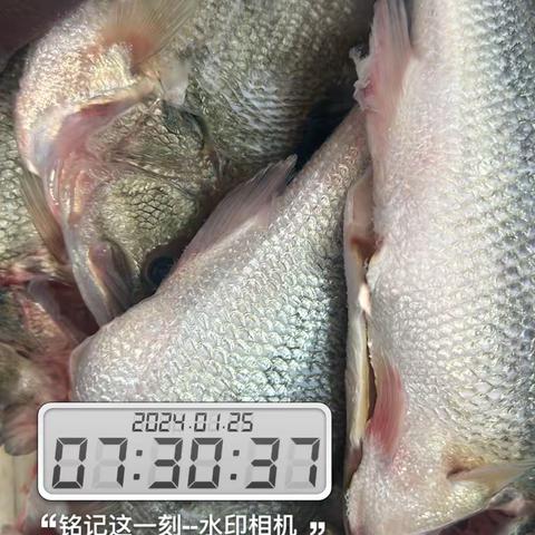 1.25宁波绿动体系安全日报