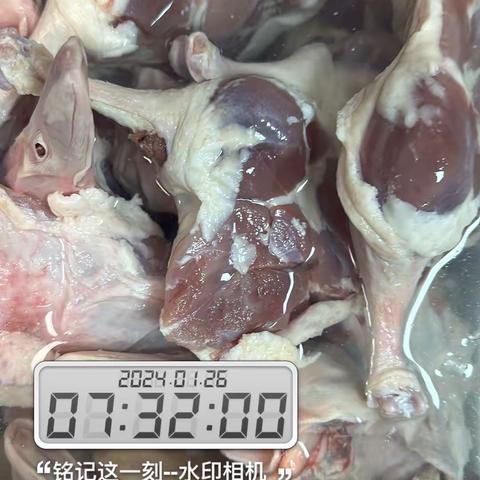 1.26宁波绿动体系安全日报