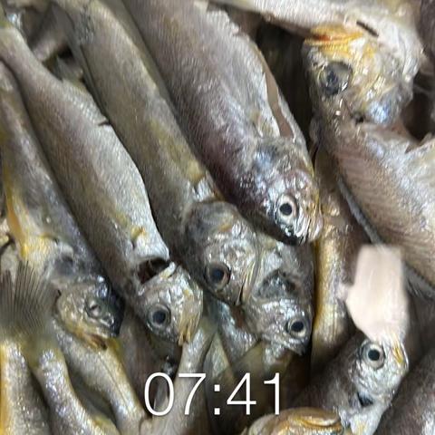 3.29宁波绿动体系安全日报