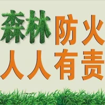 预防森林火灾，守护绿色家园——涌泉镇新起点幼儿园森林防火知识宣传