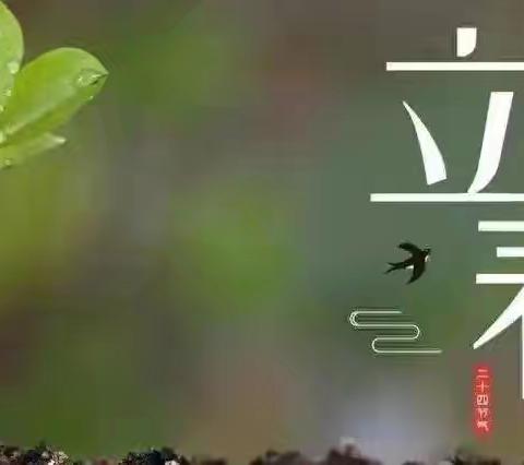 律回岁晚冰霜少 春到人间草木知