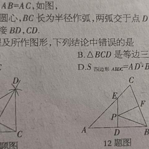 2024.1.26.期末复习检测试题（一）错题讲解