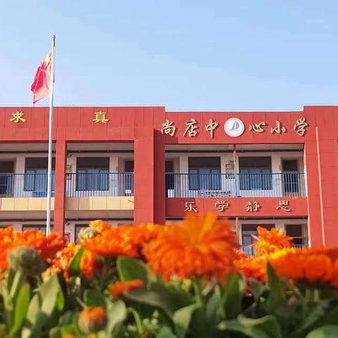 “教育美好，研路生花”——尚店镇中心小学数学教研活动