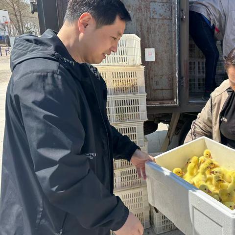 庭院经济绽芳华 乡村振兴谱新篇