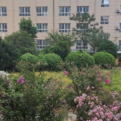 同心同行   逐梦远航