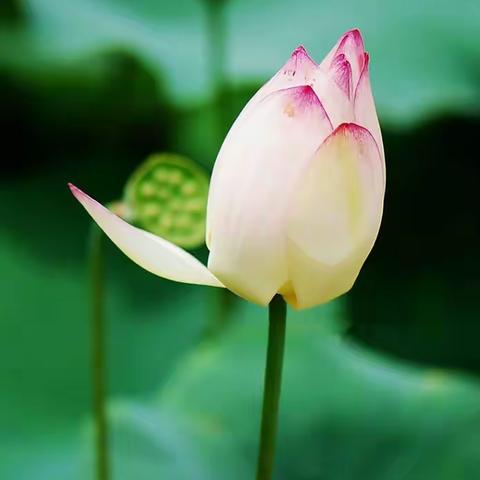 师生一场，不负遇见