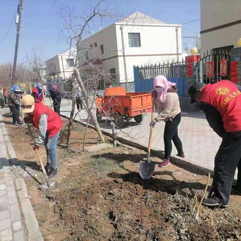 巾帼不让须眉 为家园增添新绿