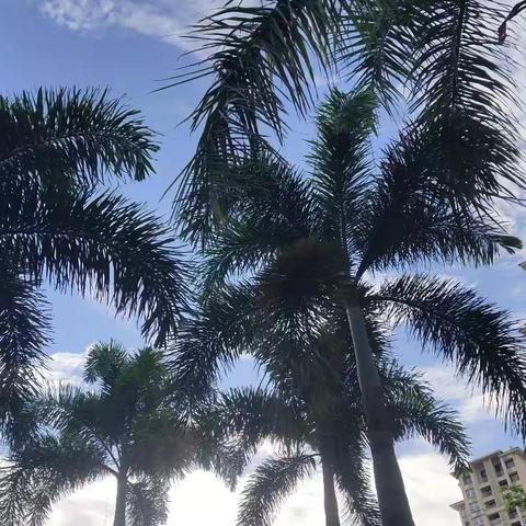 用情相约 旗迹，用心感受 奇迹。