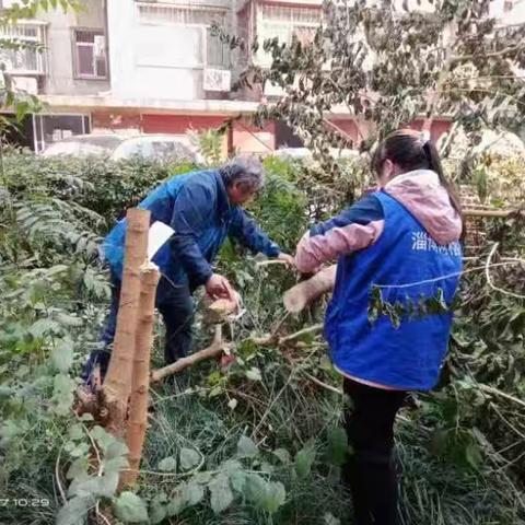扮靓“方寸绿”，网格员用行动绘就宜居新画卷