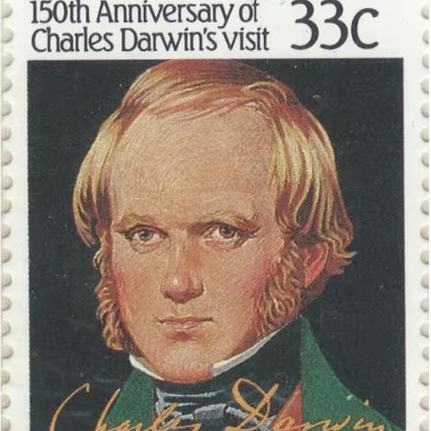 寻祖记（八）天择颜面：火地岛人的故事