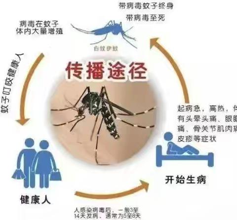 【十一幼•卫生保健】预防传染病，健康共成长—中宁县第十一幼儿园秋冬季传染病知识宣传