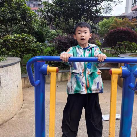 《追梦班的小星光——每个孩子的独特闪亮》